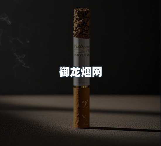 关于御龙烟网